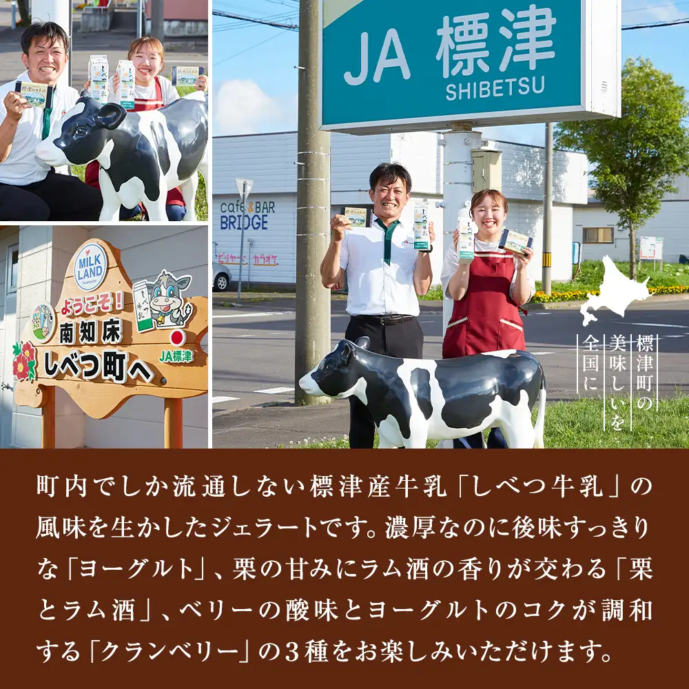 しべつ牛乳ジェラート 3種12個セット ジェラート【配送不可地域：離島】【AE016】
