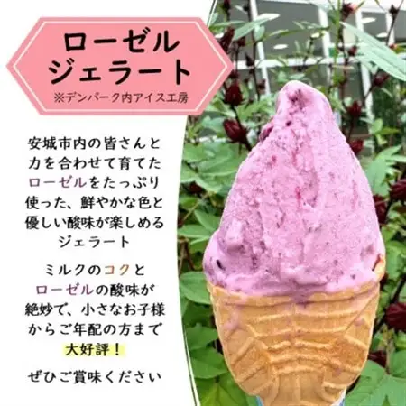 デンパーク入園券2枚+ローゼルジェラート引換券2枚/愛知県安城市【1686737】