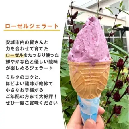 デンパーク入園券2枚+ローゼルジェラート引換券2枚+パン作り体験券1枚/愛知県安城市【1686739】