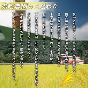 isa805 鹿児島県産あきほなみ(5kg) 国産 鹿児島県 米 お米 白米 伊佐米 【赤崎農園】