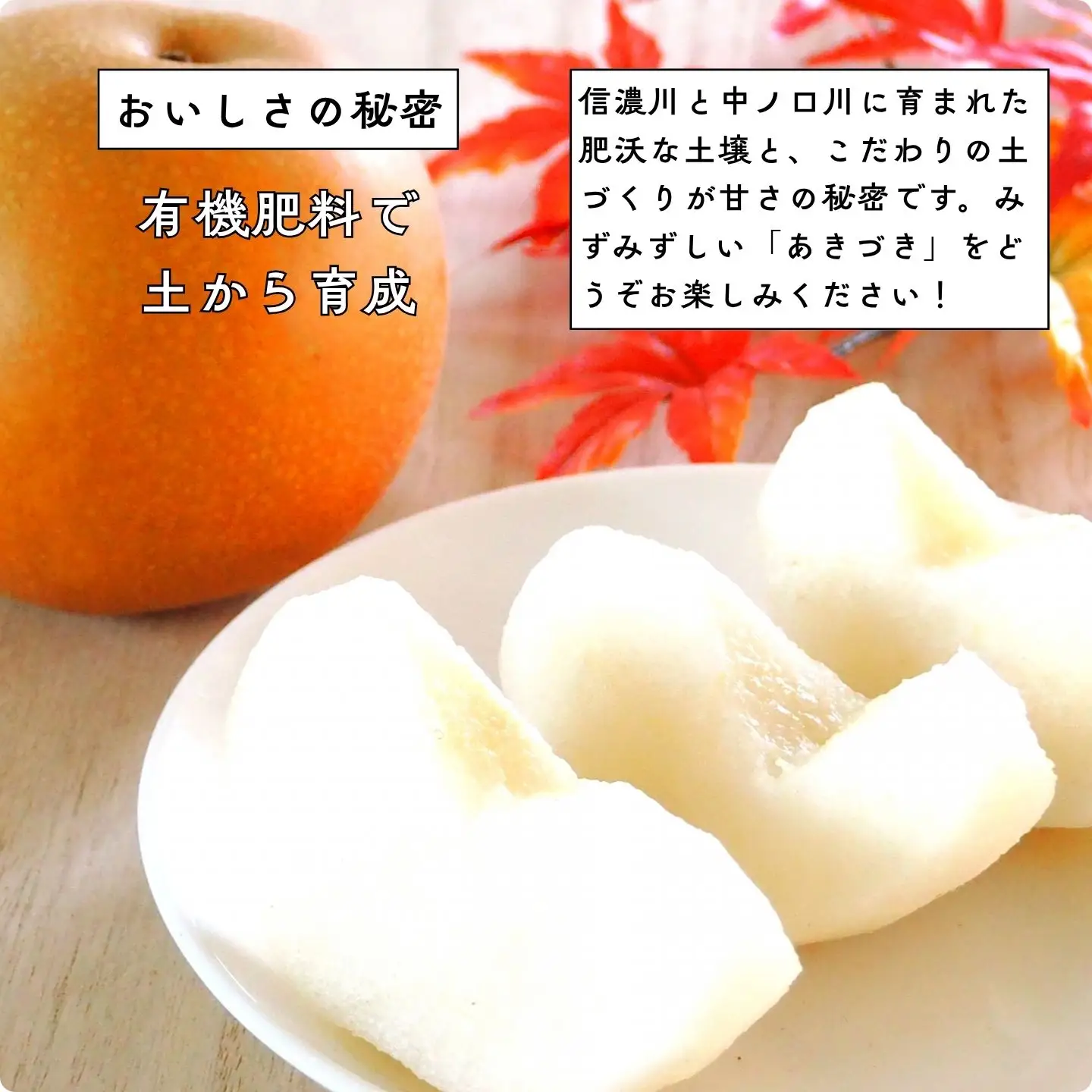 先行予約 和梨 あきづき 約5kg 令和8年度 新潟県三条市産
