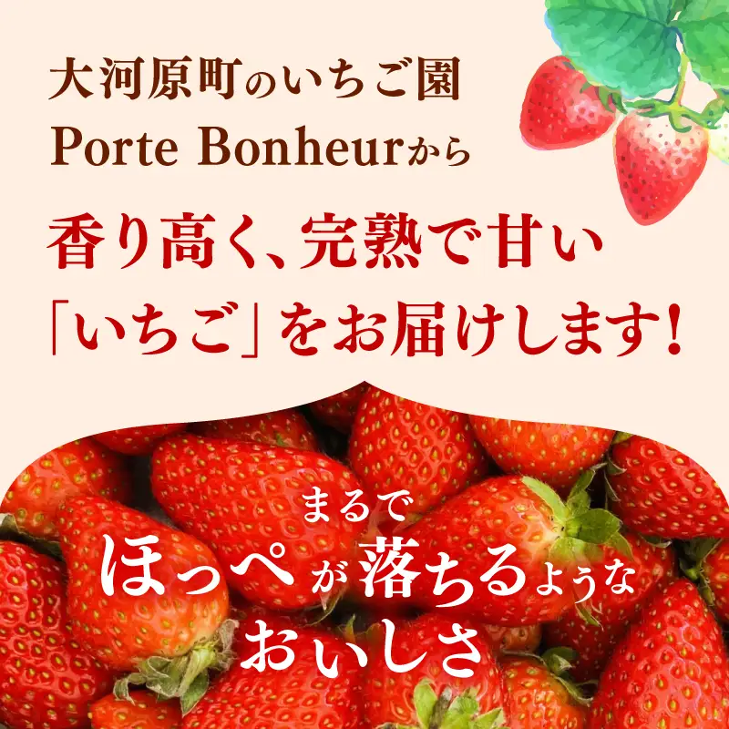 大河原町のいちご 完熟いちご 4パック 果物 フルーツ 苺 紅ほっぺ かおり みずみずしい ジューシー 期間限定 季節限定 いちご 小分け
