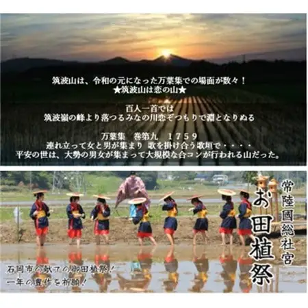 【玄米5kg】筑波山麓厳選★検査1等米こしひかり【恋瀬姫の舞】令和7年産【配送不可地域：離島・沖縄県】【1700050】