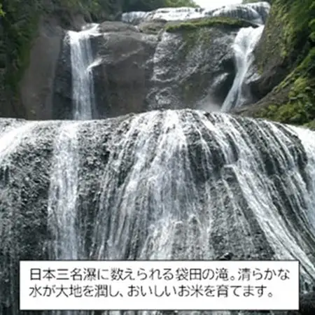筑波山麓産米を中心に厳選した【茨城県産こしひかり】白米15kg 令和7年産【配送不可地域：離島・沖縄県】【1701336】