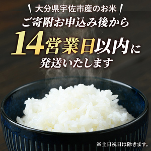 宇佐市産ヒノヒカリ（計10kg・5kg×2袋） ＜北海道 沖縄 離島配送不可＞米 お米 ヒノヒカリ ひのひかり 白米 ご飯 大分県産 10kg【119000501】【カネガエ】