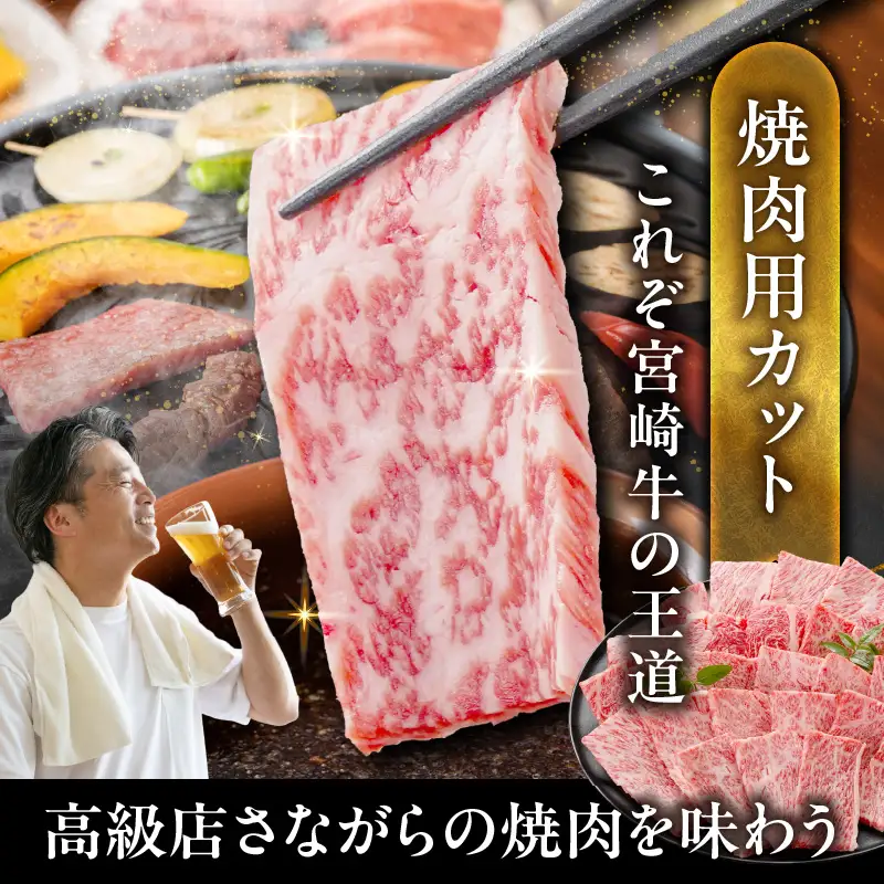 畜産農家応援! 宮崎牛ロース焼肉用 500g〔17-N2-013-500g〕_(都城市) ロース焼肉 500g 宮崎牛 牛肉 宮崎県産 国産 ロース肉 焼き肉 高級 とろける ミヤチク 牛肉