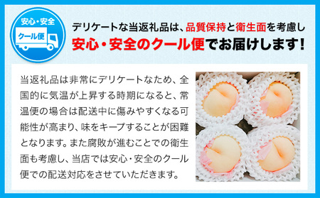 黄金桃 約1.5kg 桃茂実苑【配送不可地域あり】桃