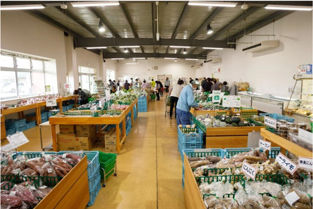【 特別栽培米 】R7年産 北上産 お米 100％ 精米したての しらゆり米 ( ひとめぼれ ) 4kg 小分け ( 2kg ×2袋 ) 国産 岩手県 北上市 D0557 JA 産直 あぜみち 米 コメ 精米