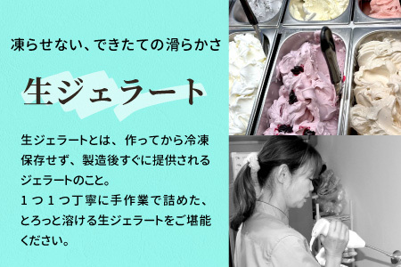 生ジェラート アソート 8個 Fセット トマトソルベ ミルク ほうじ茶 アールグレイキャラメル オーロヴェルデ カップアイス アイス スイーツ デザート 設楽町 -323