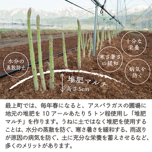 【令和8年産】最上町特産グリーンアスパラ 2Lサイズ 1kg