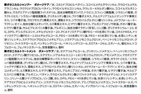 《訳あり品》 BOTANIST ボタニスト ボタニカル シャンプー＆トリートメント 大容量詰替セット【ダメージケア】