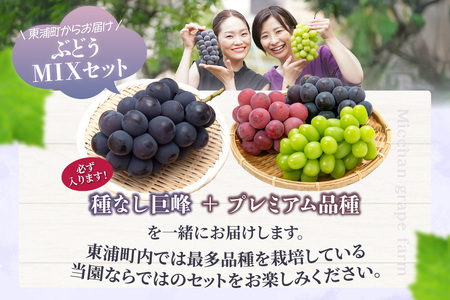 【先行予約】【2026年8月発送】東浦町産 ぶどうMIX・約3kg（2kg＋1kg！）【みっちゃんぶどう園】