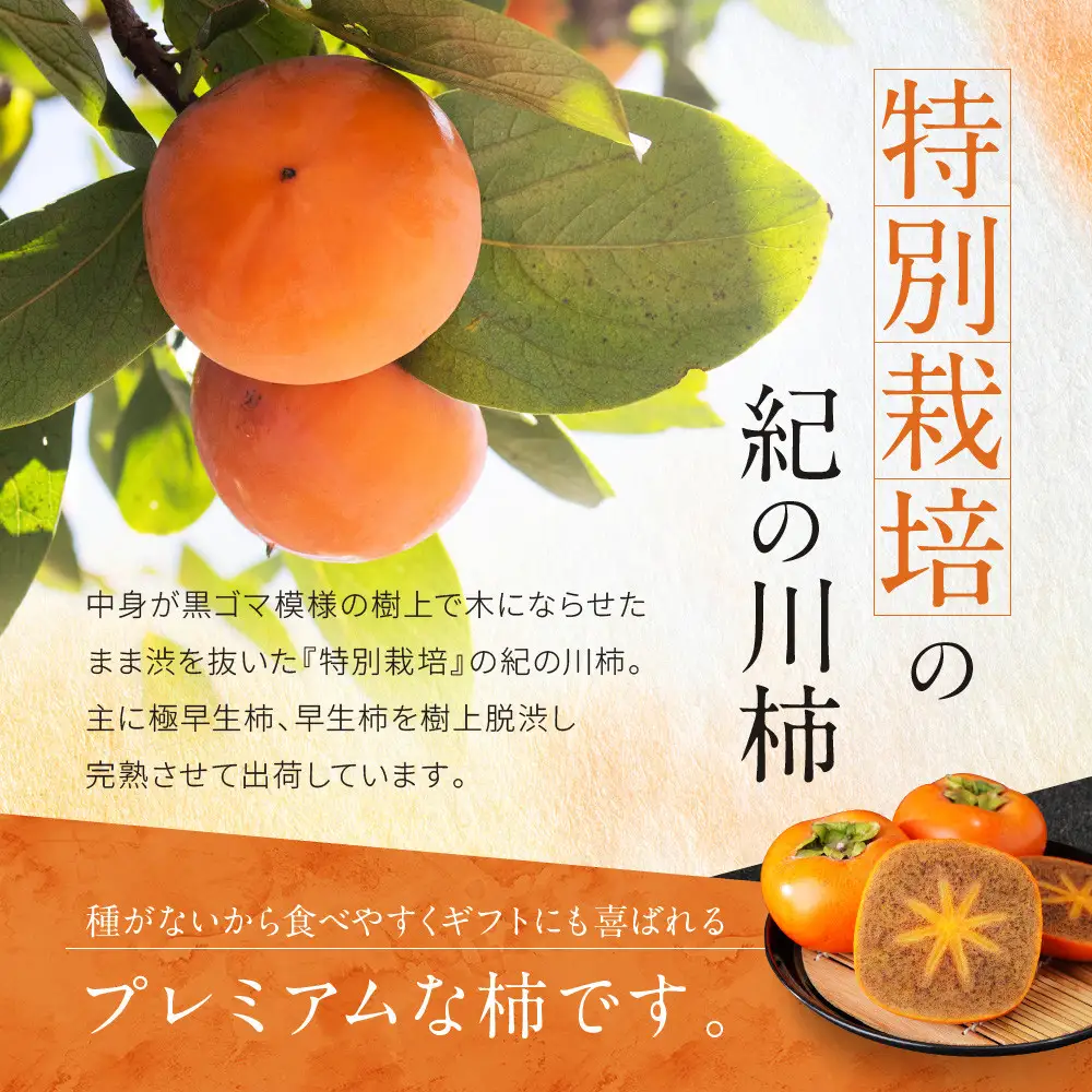 ［2026年発送分］先行予約！ 紀の川柿（果実の中身が黒い！黒蜜柿）希少栽培！ 秀品 6個～9個 こだわり農家厳選！［KG34］
