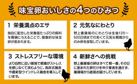 味宝卵使用 卵黄のみ たまご屋さんの濃厚 マヨネーズ 300g 3本 野上養鶏場《60日以内に出荷予定(土日祝除く)》福岡県 鞍手町 味宝卵 卵黄 濃厚 マヨネーズ マヨ サラダ ディップ トースト 万能 調味料