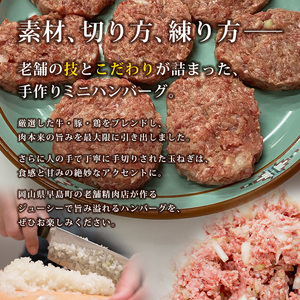 お肉屋さんの手作りミニハンバーグ(60g10個入り)