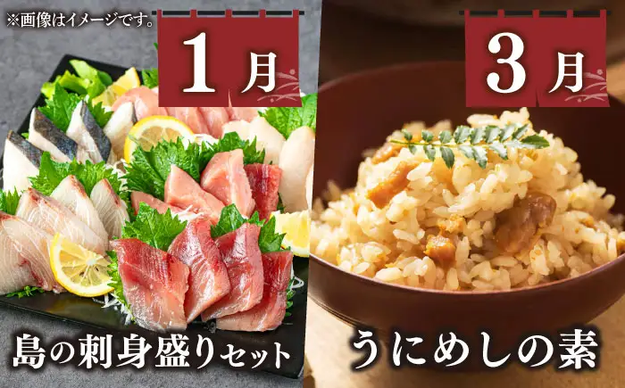 【全6回定期便】 海産物 ギョギョギョ 定期便 《壱岐市》 ウニ 刺身 鮮魚 海鮮[JZX018]