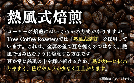 【完全受注焙煎】Tree Coffee Roasters「コスタリカ タラス ハニー ハイロースト」 200g - コーヒー 豆 自家焙煎 熱風式焙煎 贈り物