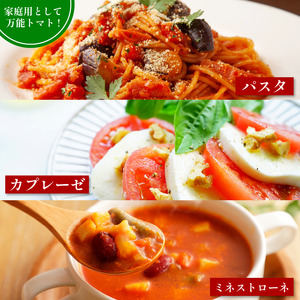 トマト 4kg 大玉 とまと