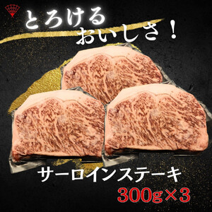 仙台名物！極上2種のギフトセット（牛たん・仙台牛）