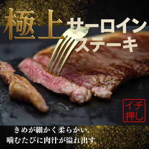 仙台牛のサーロインステーキ 300g×10個　ステーキ