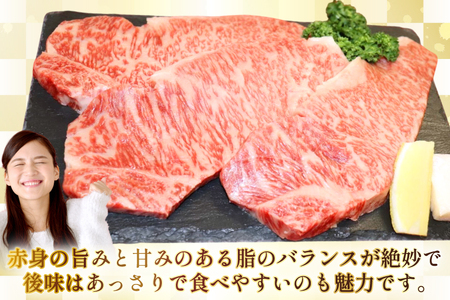 AJ495 長崎和牛 サーロイン ステーキ 約600g(200g×3枚) [ 肉 牛肉 和牛 高級 おいしい ステーキ肉 まるしん商会 黒牛 長崎県 島原市 ]