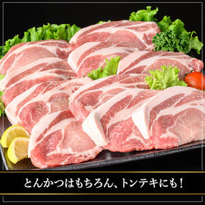 鹿児島県産豚ロース 100g カット(計2kg・100g×20枚) 豚肉 ロース カット【おきどき】A981