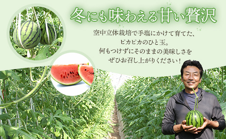 すいか 【３回定期便】ルナ・ピエナスイカ(中玉) 1玉 Wyu-0064