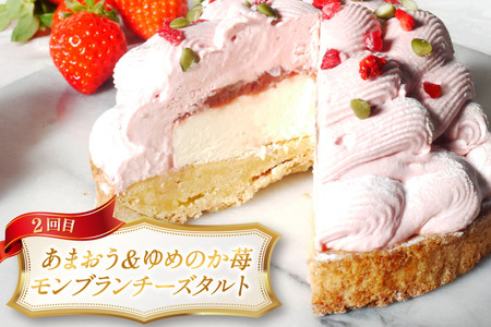 タルト モンブラン 1ホール 12cm 2回 定期便 [心優-Cotoyu sweets- 長崎県 平戸市 hr42bjo490181]