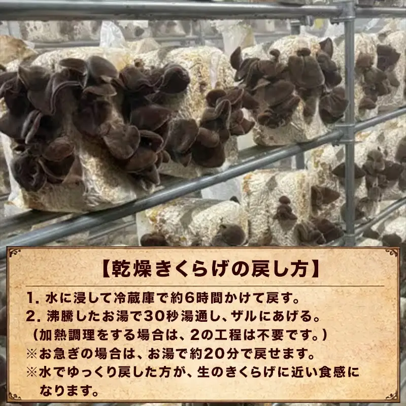ノウフクJAS認証 唐津市産 乾燥きくらげ 乾燥しいたけセット