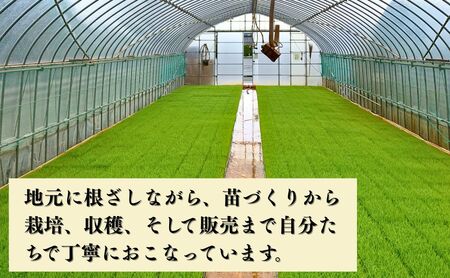 【スピード発送】 コシヒカリ 精米 2㎏ 令和7年産 コシヒカリ こしひかり 元田農産