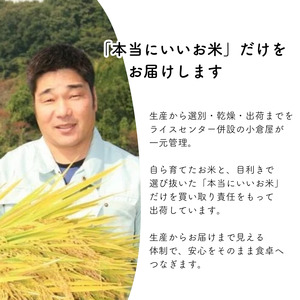 【令和7年産】新見庄米 コシヒカリ 白米 2kg （2kg×1袋）