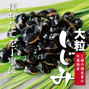 極み！蜆汁（しじみ汁）10食