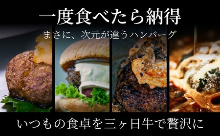 次元ハンバーグ120g×6個 【配送不可：離島】金乃縁 ハンバーグ 冷凍 国産 三ヶ日牛 牛肉 トリュフ風味 ギフト 冷凍食品 惣菜 静岡 浜松市