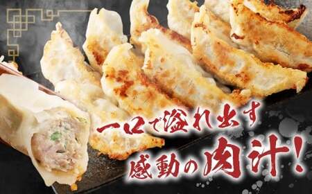 A327 驚愕の肉80%使用！ 肉ニクホルモン餃子 1パック25個入り 680g×3パック （合計75個） 冷凍餃子 餃子 惣菜 弁当 おかず 小分け 冷凍 福岡県 みやま市
