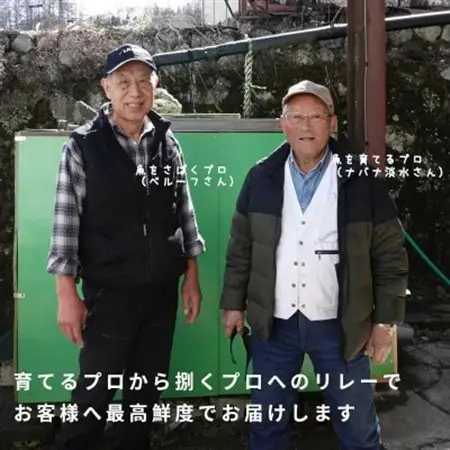 冷凍 八ヶ岳信州サーモン 150g×1パック【配送不可地域：離島】【1701225】