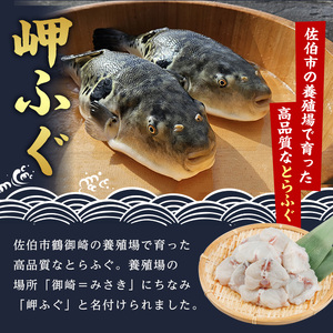 豊後水道 とらふぐ 切り身 (計1.2kg) ふぐ フグ トラフグ ふぐ鍋 唐揚げ ふぐちり てっちり 小分け 切身 切り身魚 切身魚 大容量 国産 冷凍 養殖 岬ふぐ【JJ001】【浪井丸一水産】