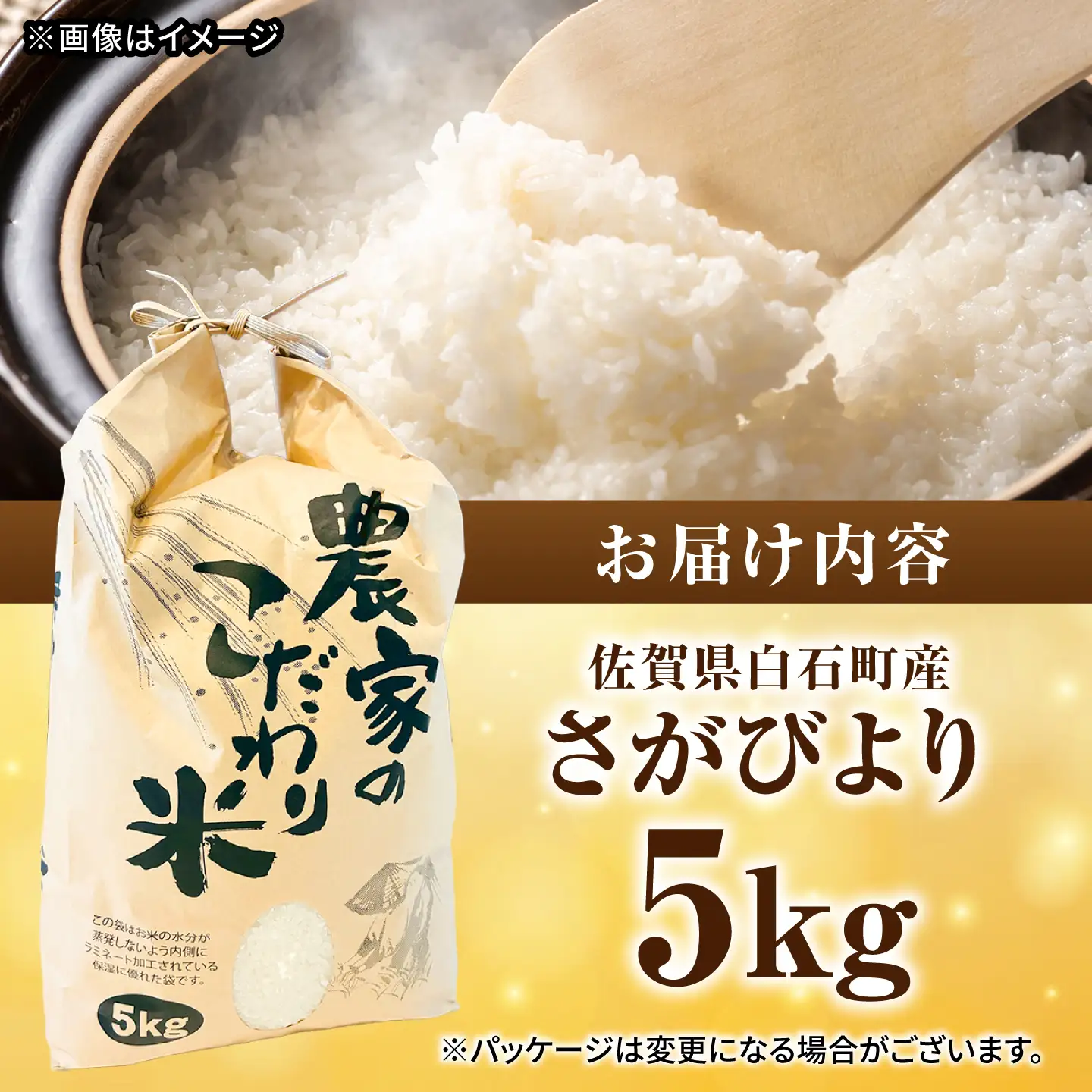 【スピード発送】令和7年産 さがびより（白米） 5kg [IBG018]