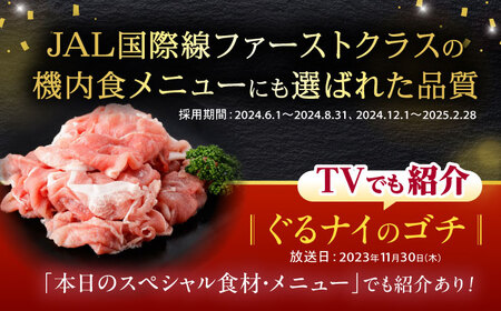 【6回定期便】＜特Aのブランド米で育てた＞黒豚諫美豚プレミアム100 切り落とし(ウデ・モモ) 1.2kg(300g×4P) / 黒豚 豚肉 小分け 肉 豚 ウデ肉 ウデ モモ もも肉 / 諫早市 / 株式会社土井農場[AHAD109]
