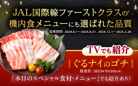 【6回定期便】黒豚諫美豚プレミアム100 バラ肉 しゃぶしゃぶ用 500g(250g×2P) / 豚肉 ぶたにく バラ ばら 豚バラ シャブシャブ しゃぶしゃぶ / 諫早市 / 株式会社土井農場[AHAD115]