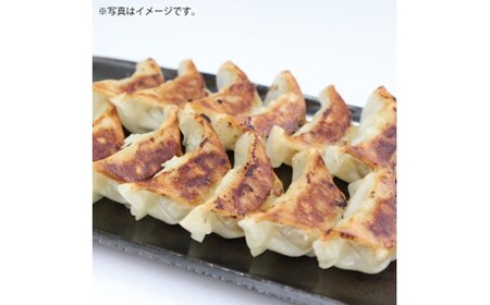 B404.博多一風堂ひとくち餃子（18セット）