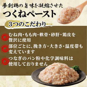 つくねペースト(計2kg)鶏肉 鳥肉 とりにく ペースト 惣菜 弁当 おかず つくね 冷凍【C-31】【株式会社 英楽】