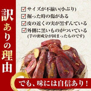 定期便 3回 訳あり 紅はるか 冷凍 焼きいも 計7.2kg 800g×3袋×3回 規格外 小ぶり 不揃い 【末永商店】No.1345 