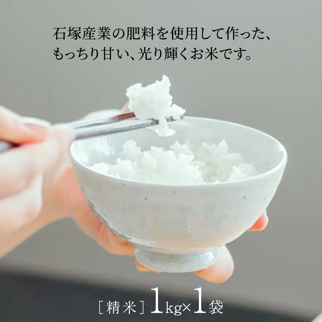 【 令和7年産 】 コシヒカリ 精米 1kg (茨城県共通返礼品 かすみがうら市) スピード発送 早い 米 ごはん もっちり 甘い コメ お米 白米 銘柄米 5000 [EX029sa]