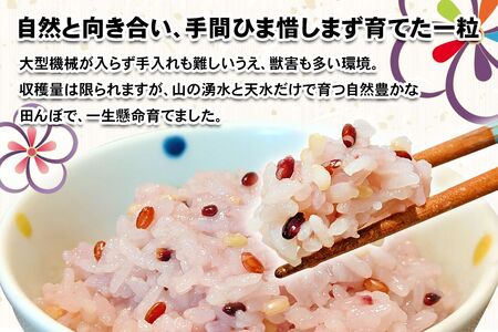 [農薬不使用] 里山の自然で育てた「禅寺の色々米」300g [0691]