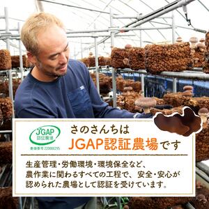 きくらげ 乾燥キクラゲ 150g きくらげ
