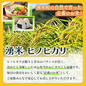 鹿児島県産 湧米 ヒノヒカリ(5kg) 国産 九州産 鹿児島県産 湧水町産 5kg お米 おこめ 米 白米 ご飯 ごはん おにぎり ひのひかり ヒノヒカリ 令和7年産 【Rissel】_y591