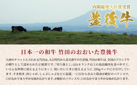 正統派黒毛和牛 おおいた豊後牛 切り落とし 500g 小分け