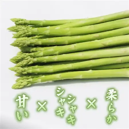 【先行受付】2026年産夏芽 数量限定 アスパラガス 1kg M～Lサイズ 京都府久御山町産 朝採り【配送不可地域：離島】【1701542】