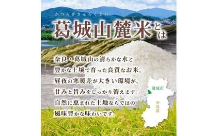 米 先行予約 ※3ヶ月定期便※ 葛城山麓米 ヒノヒカリ（白米）10kg ×3ヶ月 令和8年産 【2026年11月・12月・1月発送】葛城市【smlk-tkb003】