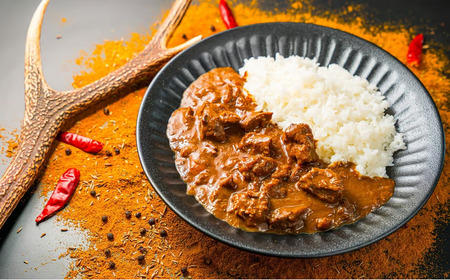 【 レトルトカレー 】鹿肉ごろごろジビエカレー 200g × 2袋｜レトルト 人気 高級 やわらか サステナブル 新鮮 シカ 小分け ジビエ食材 YZ-12